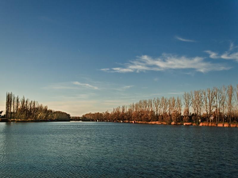 Dányi tó