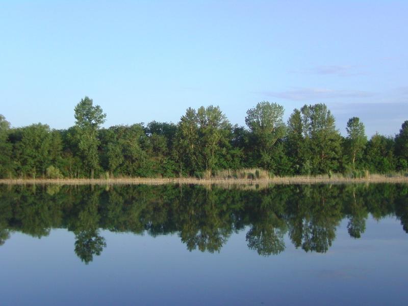 Fárasztó horgásztó