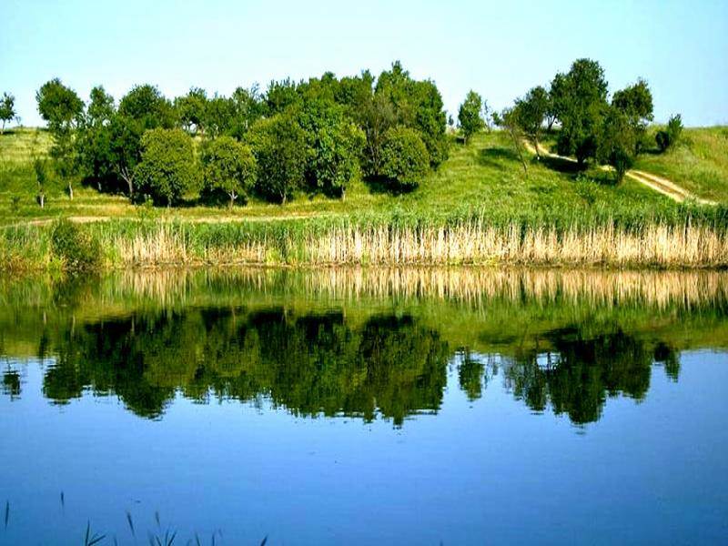 Chiroiu 4 Green Lake