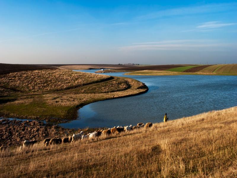 Raduta lake