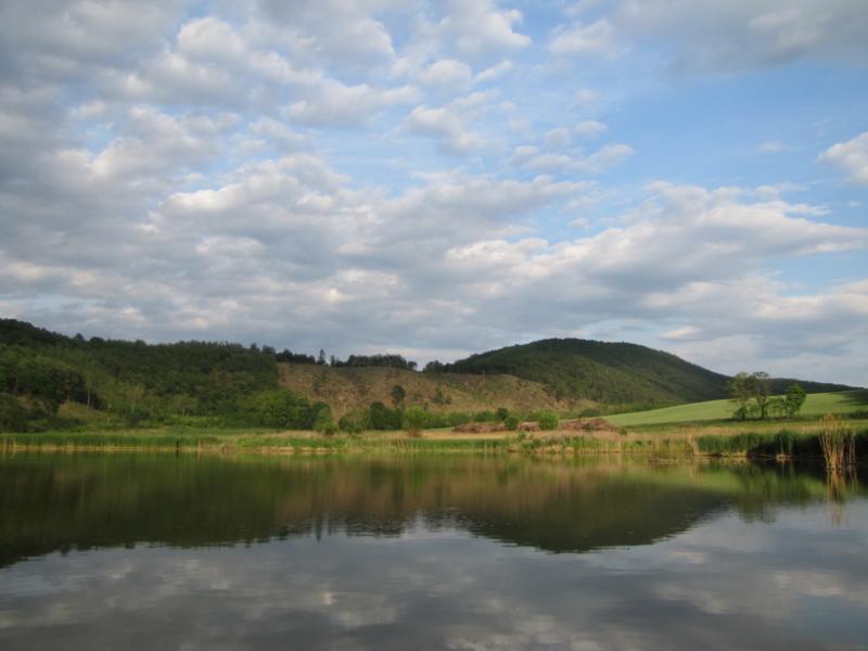 Mixi-horgásztó