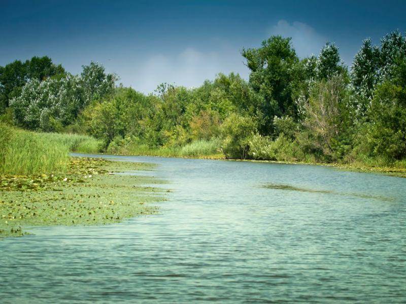 Tisza tó