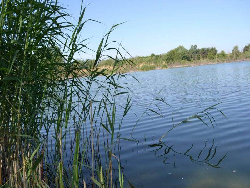 The gravel pit Tržec