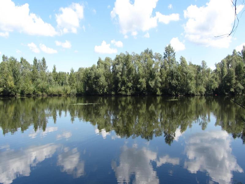Mura Carp Lakes