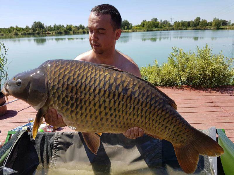 Big Carp Lake