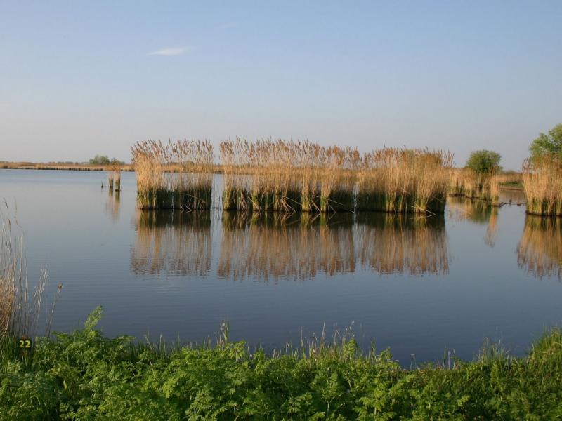 Ohati III. horgásztó