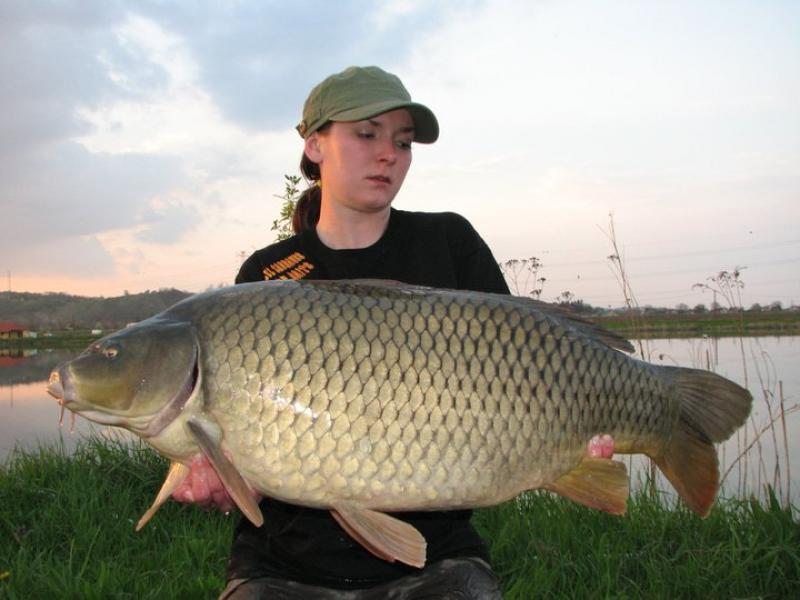 Carp Dream Lake