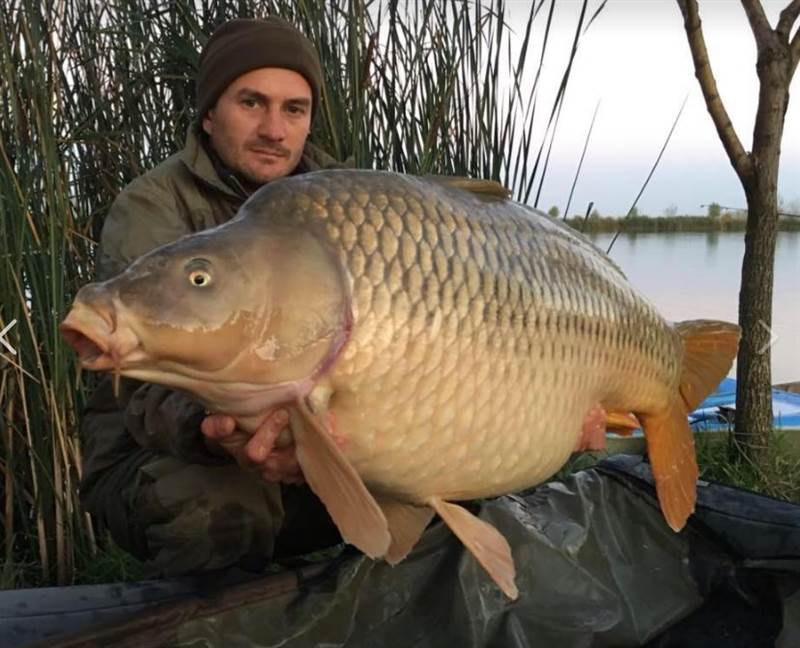 Monster Carp Lake Románia