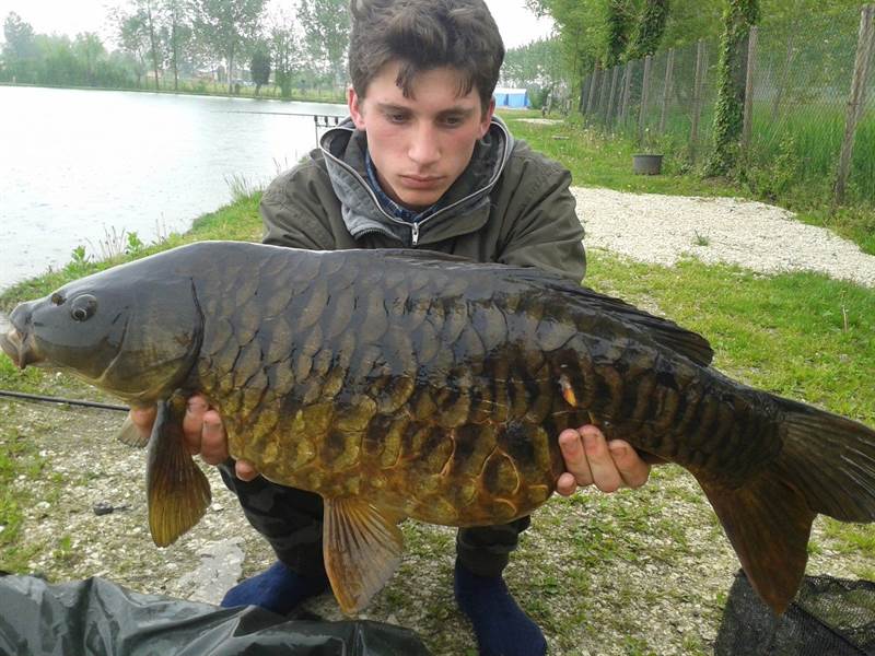 LAGO 2001