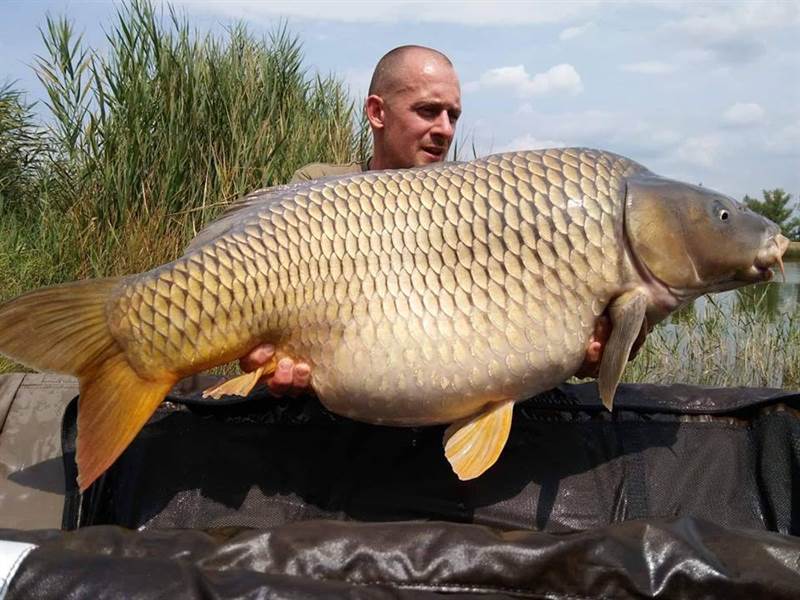 Mocsai Király Ponty horgásztó