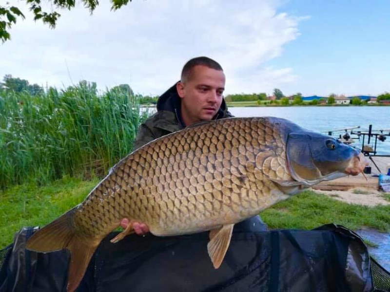 Battyán Carp Lake