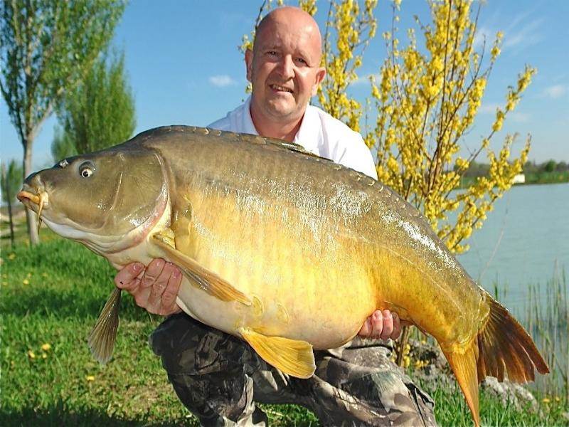 Fish Arena horgásztó