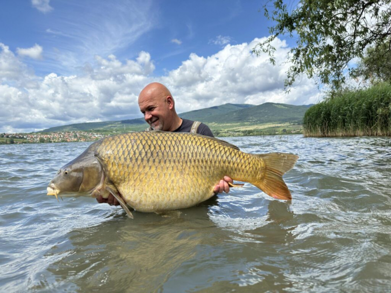 Markazi tó