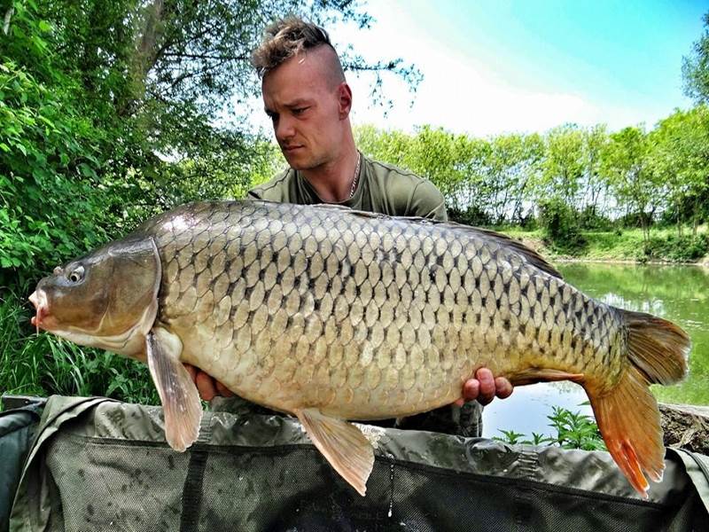 Carp Lake Zabar