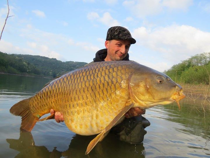 Vogrscek lake