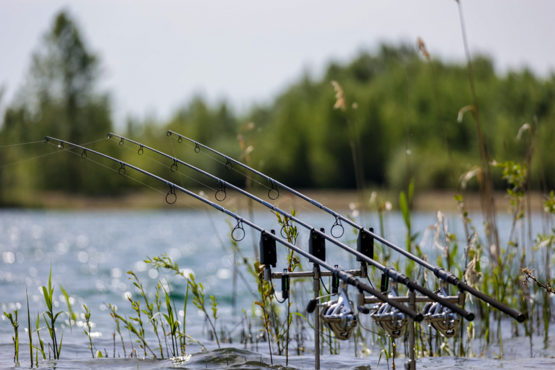 Crystal Carp Lake