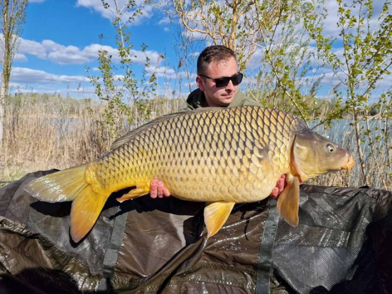 Carp Centrum