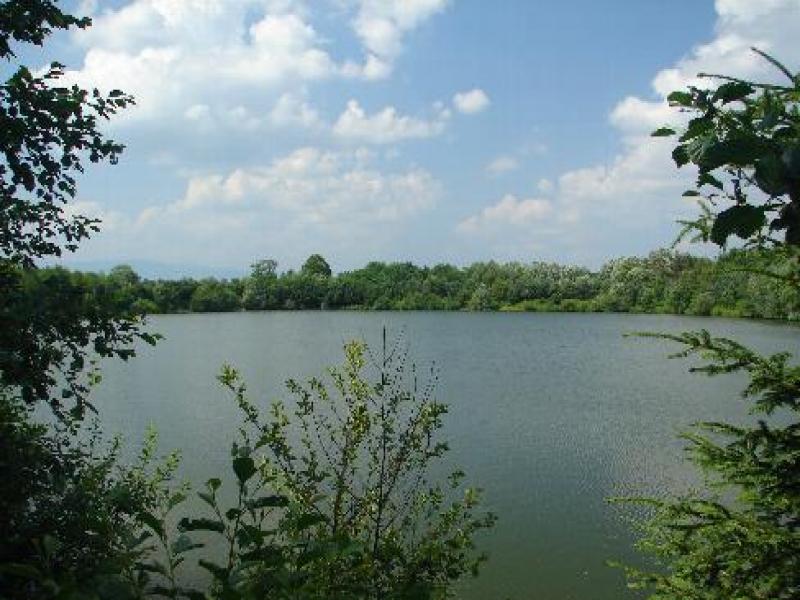 Hardy-Teich